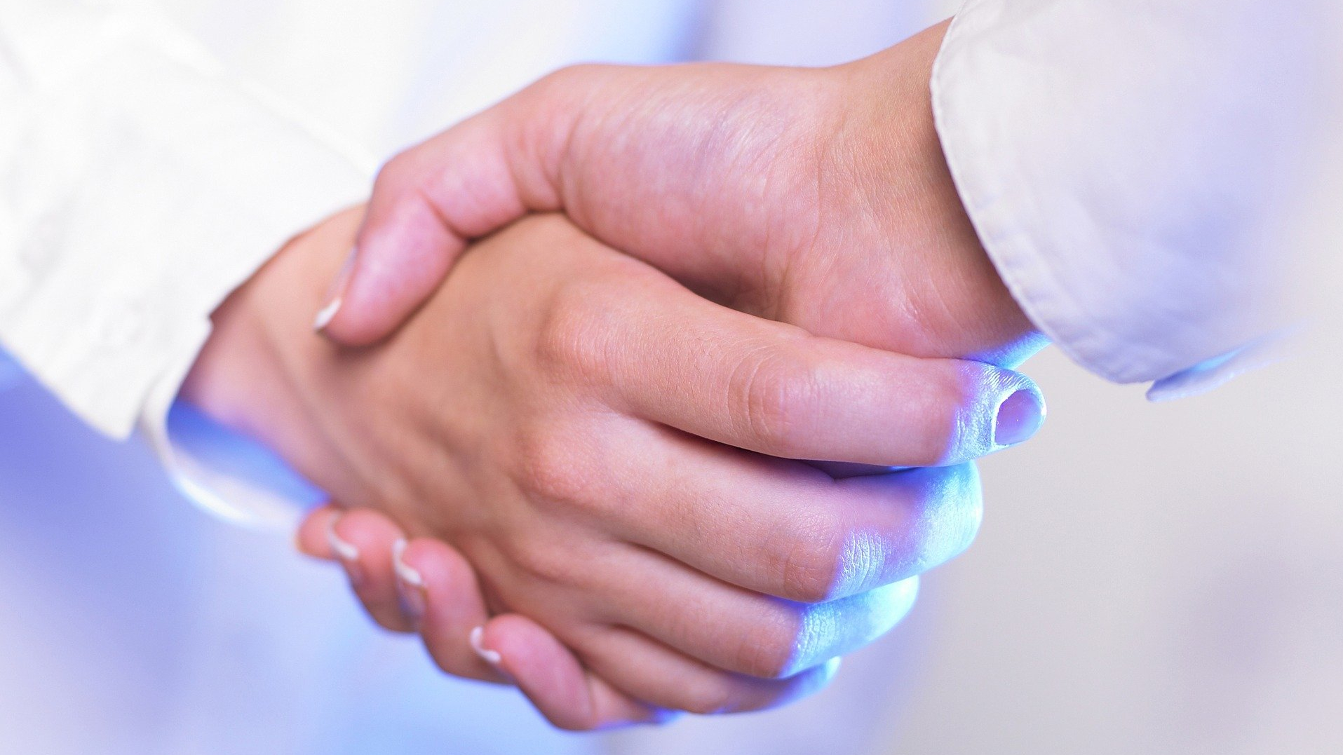 Neue Netzwerkpartner